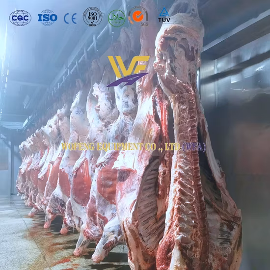 Máquina de procesamiento de carne de equipo de sacrificio de carne de ganado de matadero para la venta
