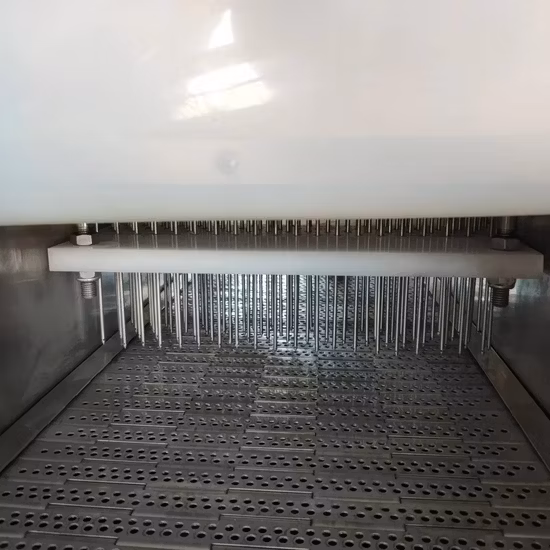 Máquina de inyección de salmuera para pollo Máquina de inyección de salmuera con aguja Máquina de inyección de salmuera manual Máquina de inyección de salmuera Solución salina Máquina de inyección de salmuera
